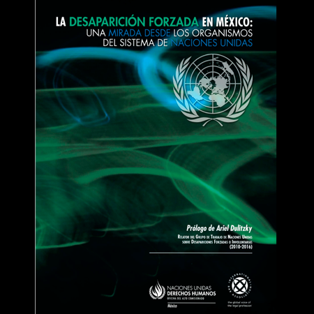 Book Cover: Desaparición forzada en México