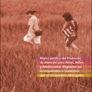 Book Cover: Marco Jurídico Protocolo