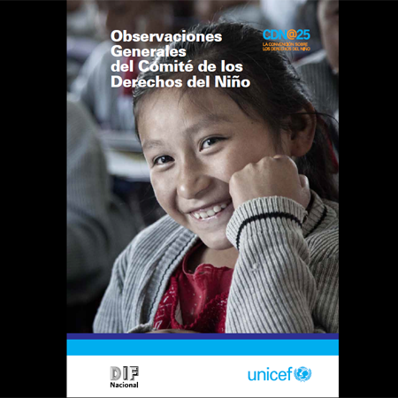 Book Cover: Observaciones Generales del Comité de los Derechos del Niño